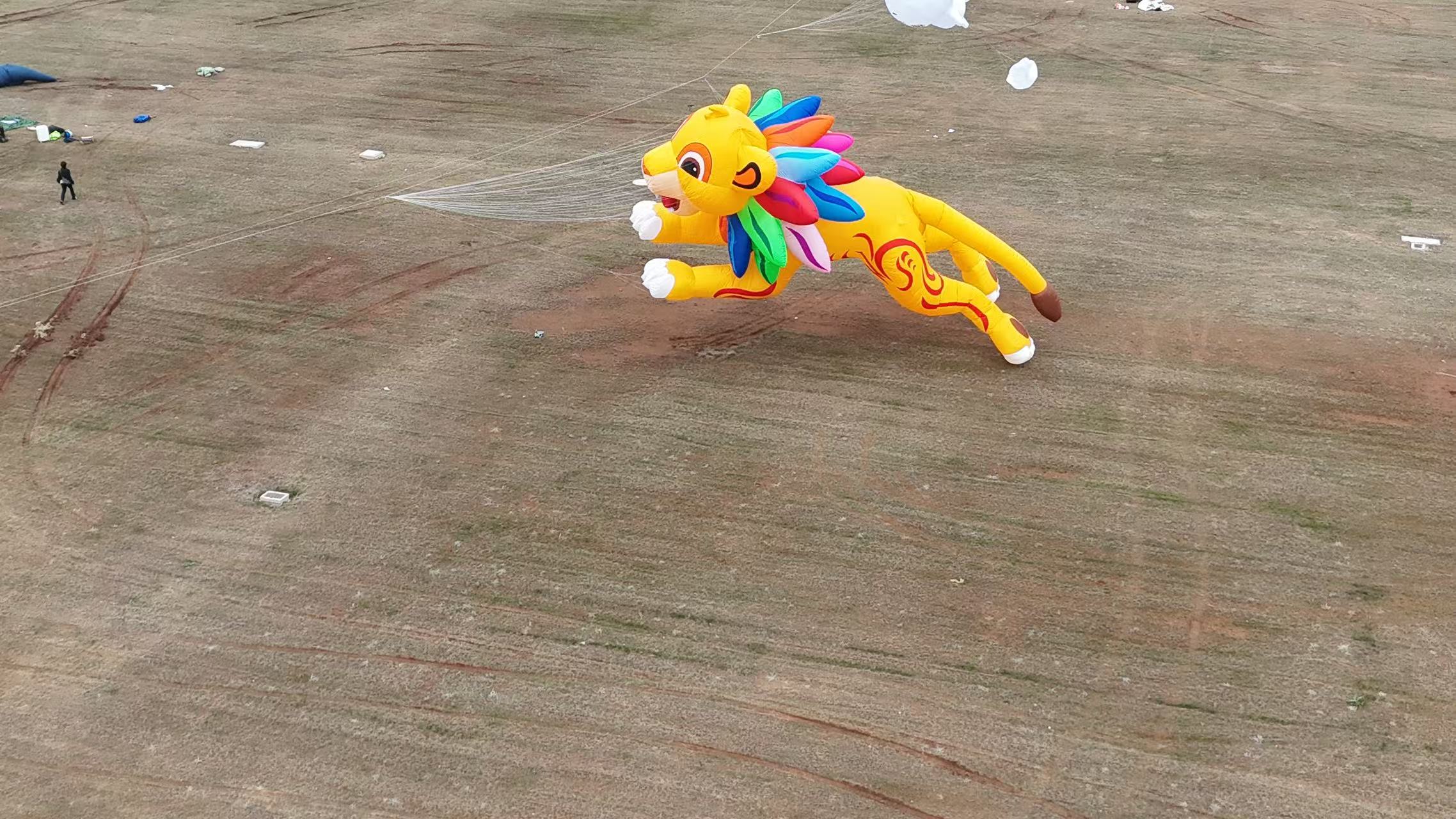 南京市品牌风筝定制品牌风筝定制 - 推荐
