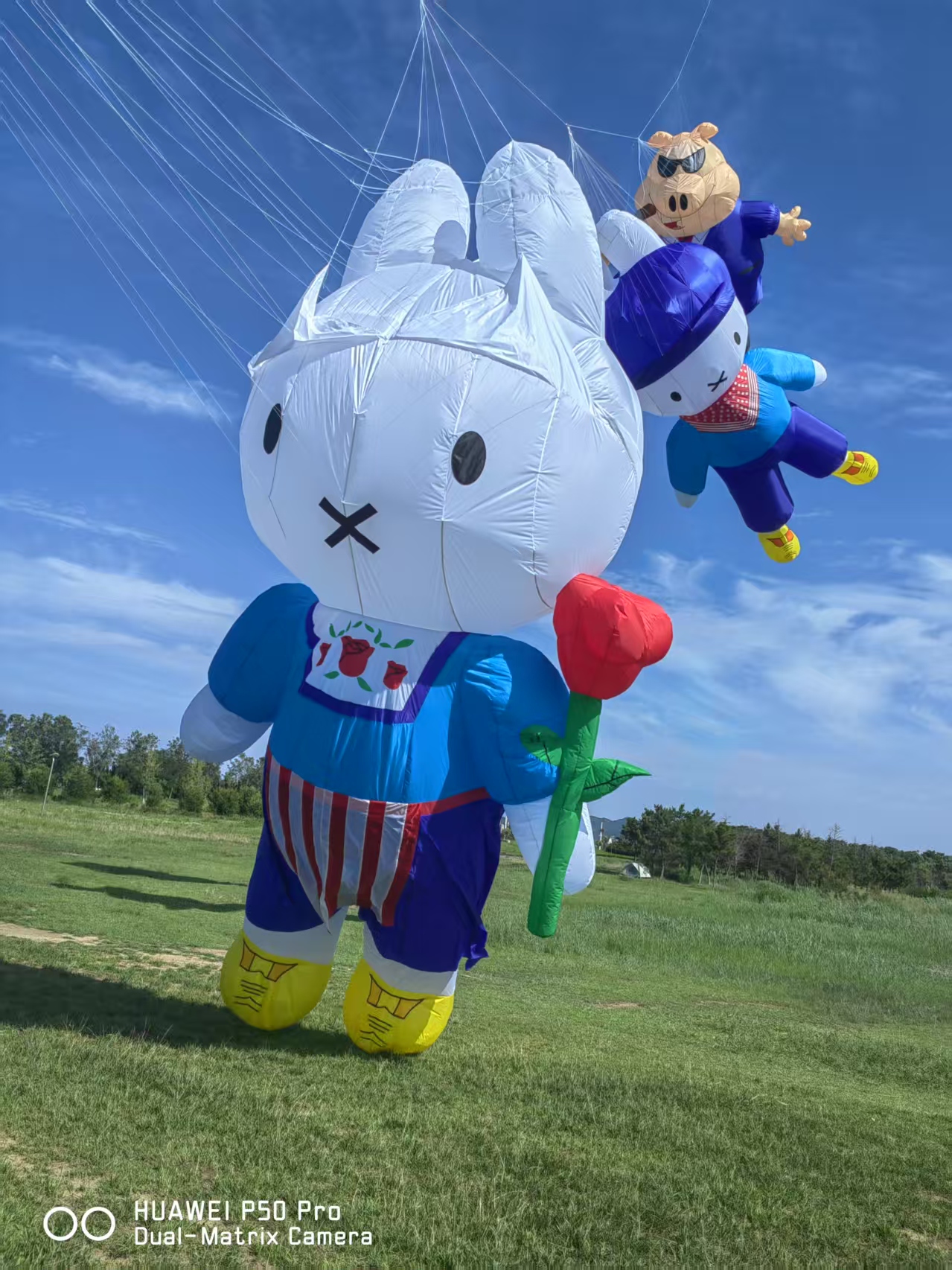 南京市儿童风筝定制风筝制作 - 哪里好